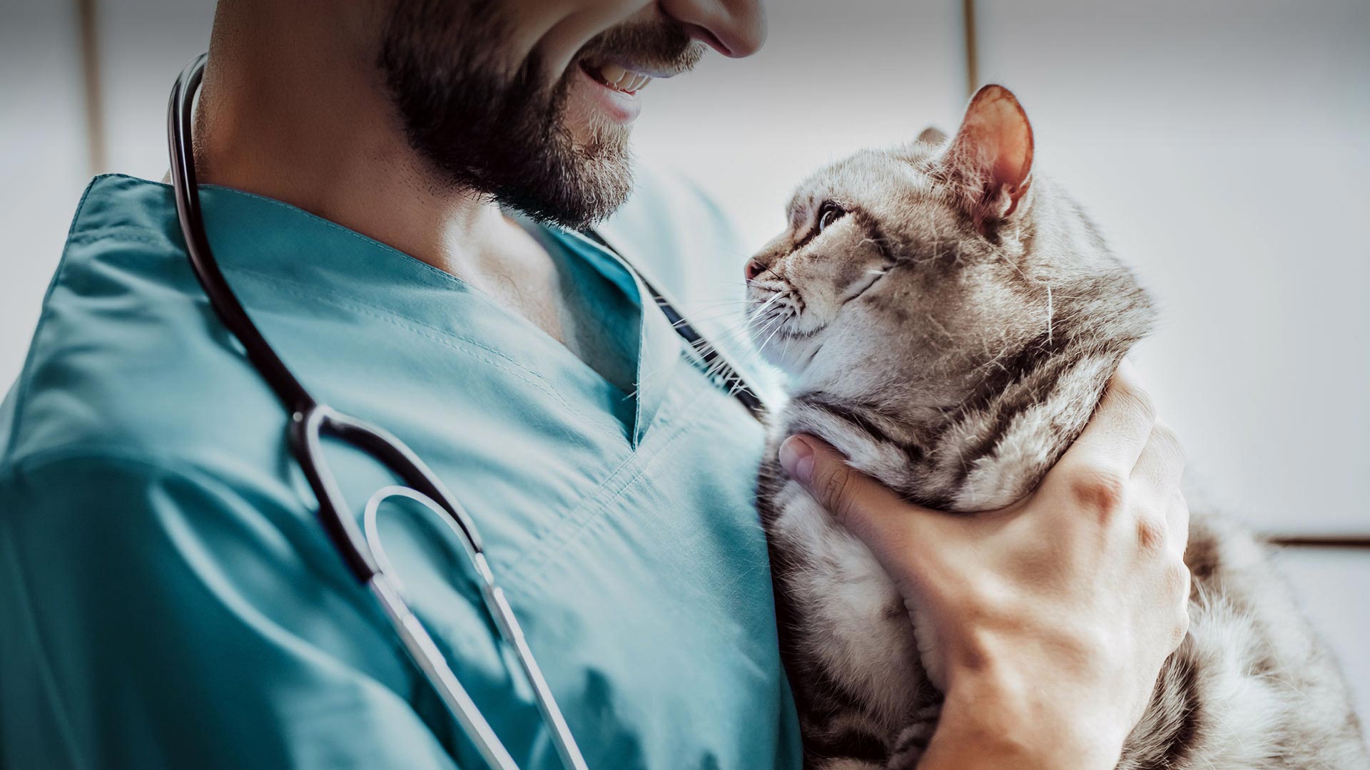 Sütçüler Veteriner